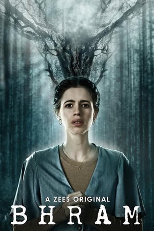 Affiche de la série Bhram (2019) de Affiche de la série Bhram (2019) de . Voir Bhram en streaming / torrent sur meilleurs-films.fr