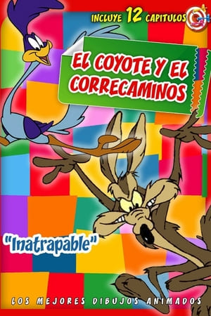 Affiche de la série Bip Bip et Coyote (1949) de Chuck Jones Affiche de la série Bip Bip et Coyote (1949) de Chuck Jones. Voir Bip Bip et Coyote en streaming / torrent sur meilleurs-films.fr