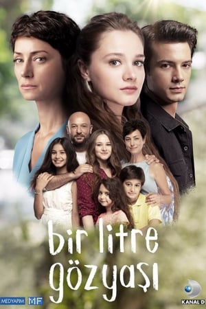 Affiche de la série Bir Litre Gözya?? (2018) de . Voir Bir Litre Gözya?? en streaming / torrent sur meilleurs-films.fr