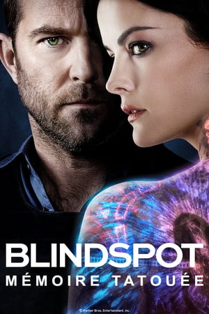 Affiche de la série Blindspot (2015) de Martin Gero. Voir Blindspot en streaming / torrent sur meilleurs-films.fr