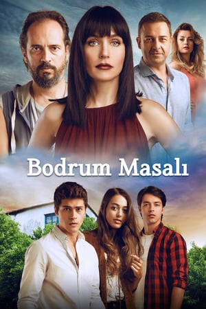 Affiche de la série Bodrum Masal? () de . Voir Bodrum Masal? en streaming / torrent sur meilleurs-films.fr