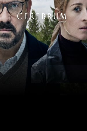 Affiche de la série Cerebrum (2019) de . Voir Cerebrum en streaming / torrent sur meilleurs-films.fr