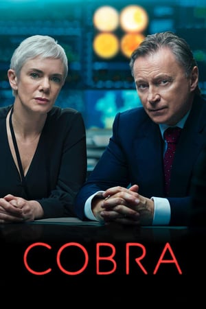 Affiche de la série COBRA (2020) de Affiche de la série COBRA (2020) de . Voir COBRA en streaming / torrent sur meilleurs-films.fr