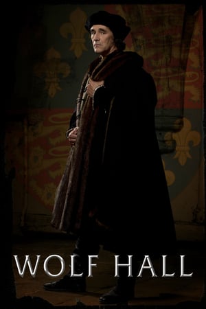 Affiche de la série Dans l’ombre des Tudors (2015) de Hilary Mantel. Voir Dans l’ombre des Tudors en streaming / torrent sur meilleurs-films.fr