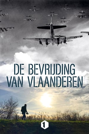Affiche de la série De bevrijding van Vlaanderen (2020) de . Voir De bevrijding van Vlaanderen en streaming / torrent sur meilleurs-films.fr