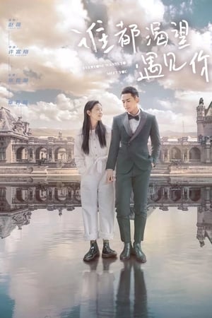 Affiche de la série Everyone Wants To Meet You (2020) de . Voir Everyone Wants To Meet You en streaming / torrent sur meilleurs-films.fr