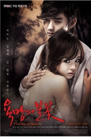 Affiche de la série Flames of Desire (2010) de . Voir Flames of Desire en streaming / torrent sur meilleurs-films.fr