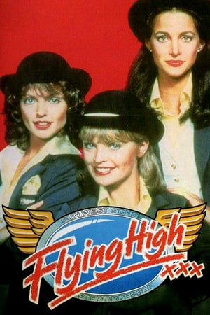 Affiche de la série Flying High (1978) de Dawn Aldredge. Voir Flying High en streaming / torrent sur meilleurs-films.fr