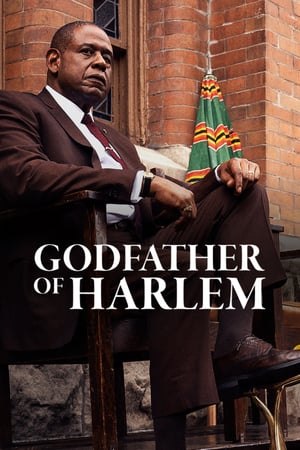 Affiche de la série Godfather of Harlem (2019) de Chris Brancato. Voir Godfather of Harlem en streaming / torrent sur meilleurs-films.fr