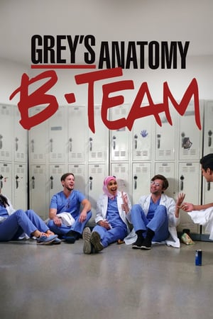 Affiche de la série Grey’s Anatomy – B-Team (2018) de Shonda Rhimes Affiche de la série Grey’s Anatomy – B-Team (2018) de Shonda Rhimes. Voir Grey’s Anatomy – B-Team en streaming / torrent sur meilleurs-films.fr