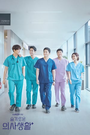 Affiche de la série Hospital Playlist (2020) de Lee Woo-jung. Voir Hospital Playlist en streaming / torrent sur meilleurs-films.fr