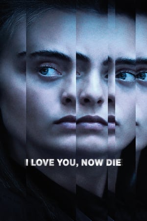Affiche de la série I Love You, Now Die: The Commonwealth v. Michelle Carter (2019) de Erin Lee Carr Affiche de la série I Love You, Now Die: The Commonwealth v. Michelle Carter (2019) de Erin Lee Carr. Voir I Love You, Now Die: The Commonwealth v. Michelle Carter en streaming / torrent sur meilleurs-films.fr