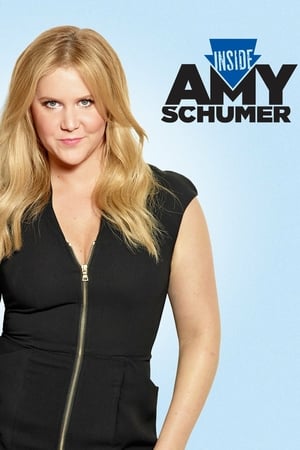 Affiche de la série Inside Amy Schumer (2013) de Amy Schumer. Voir Inside Amy Schumer en streaming / torrent sur meilleurs-films.fr