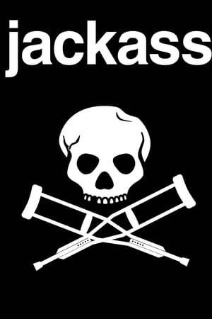 Affiche de la série Jackass (2000) de Jeff Tremaine Affiche de la série Jackass (2000) de Jeff Tremaine. Voir Jackass en streaming / torrent sur meilleurs-films.fr