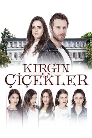Affiche de la série K?rg?n Çiçekler (2015) de . Voir K?rg?n Çiçekler en streaming / torrent sur meilleurs-films.fr