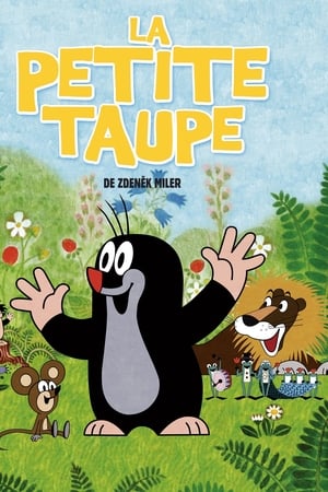 Affiche de la série La Petite Taupe (1957) de Zden?k Miler. Voir La Petite Taupe en streaming / torrent sur meilleurs-films.fr