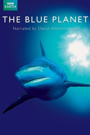 Affiche de la série La Planète bleue (2001) de Alastair Fothergill Affiche de la série La Planète bleue (2001) de Alastair Fothergill. Voir La Planète bleue en streaming / torrent sur meilleurs-films.fr