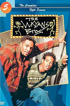 Affiche de la série Les frères Wayans (1995) de Leslie Ray Affiche de la série Les frères Wayans (1995) de Leslie Ray. Voir Les frères Wayans en streaming / torrent sur meilleurs-films.fr