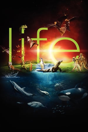 Affiche de la série Life, l’aventure de la vie (2009) de . Voir Life, l’aventure de la vie en streaming / torrent sur meilleurs-films.fr