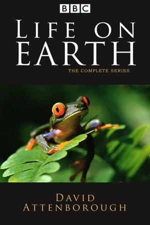 Affiche de la série Life on Earth (1979) de David Attenborough Affiche de la série Life on Earth (1979) de David Attenborough. Voir Life on Earth en streaming / torrent sur meilleurs-films.fr