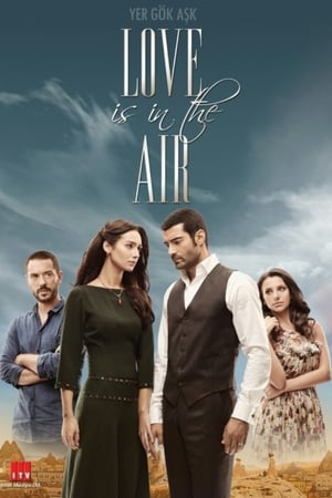 Affiche de la série Love Is In The Air (2010) de Eylem Canpolat. Voir Love Is In The Air en streaming / torrent sur meilleurs-films.fr