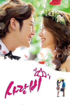 Affiche de la série Love Rain (2012) de . Voir Love Rain en streaming / torrent sur meilleurs-films.fr