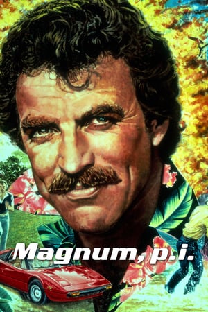 Affiche de la série Magnum (1980) de Donald P. Bellisario Affiche de la série Magnum (1980) de Donald P. Bellisario. Voir Magnum en streaming / torrent sur meilleurs-films.fr