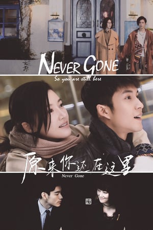 Affiche de la série Never Gone (2018) de Affiche de la série Never Gone (2018) de . Voir Never Gone en streaming / torrent sur meilleurs-films.fr
