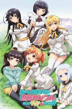 Affiche de la série Ore Ga Ojou-sama Gakkou (2015) de Masato Jinbo. Voir Ore Ga Ojou-sama Gakkou en streaming / torrent sur meilleurs-films.fr