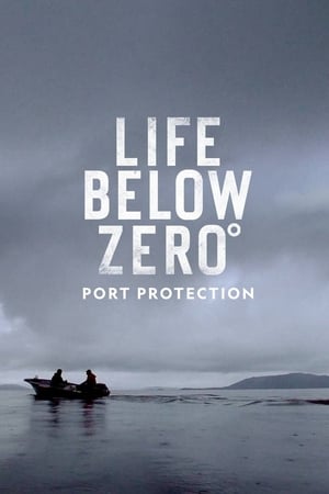 Affiche de la série Port Protection (2015) de . Voir Port Protection en streaming / torrent sur meilleurs-films.fr