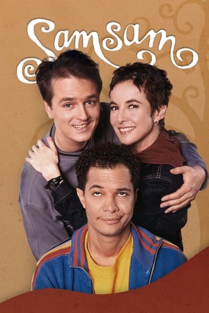 Affiche de la série Sam Sam (1994) de . Voir Sam Sam en streaming / torrent sur meilleurs-films.fr