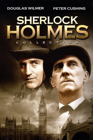Affiche de la série Sherlock Holmes (1964) de . Voir Sherlock Holmes en streaming / torrent sur meilleurs-films.fr