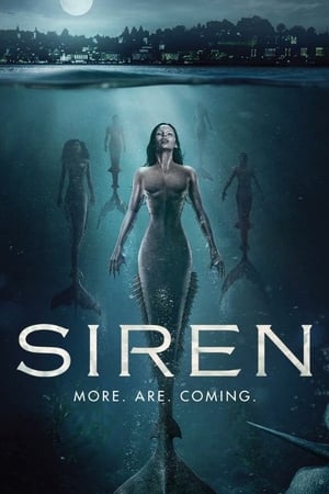 Affiche de la série Siren (2018) de Dean White Affiche de la série Siren (2018) de Dean White. Voir Siren en streaming / torrent sur meilleurs-films.fr