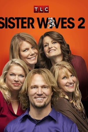 Affiche de la série Sister Wives (2010) de Affiche de la série Sister Wives (2010) de . Voir Sister Wives en streaming / torrent sur meilleurs-films.fr
