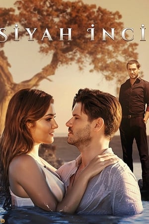 Affiche de la série Siyah ?nci (2017) de Erol Özlevi Affiche de la série Siyah ?nci (2017) de Erol Özlevi. Voir Siyah ?nci en streaming / torrent sur meilleurs-films.fr