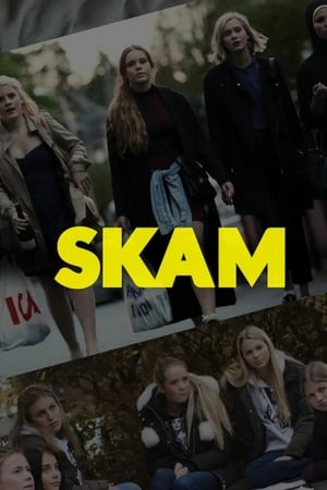 Affiche de la série Skam (2015) de Julie Andem Affiche de la série Skam (2015) de Julie Andem. Voir Skam en streaming / torrent sur meilleurs-films.fr