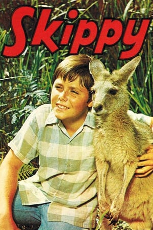 Affiche de la série Skippy, le kangourou (1968) de John McCallum. Voir Skippy, le kangourou en streaming / torrent sur meilleurs-films.fr