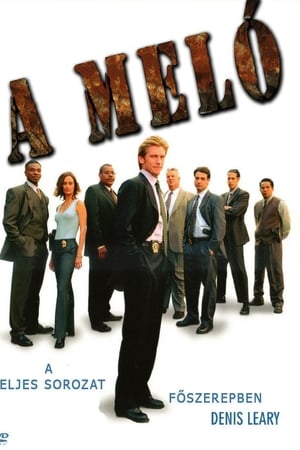 Affiche de la série The Job (2001) de Denis Leary Affiche de la série The Job (2001) de Denis Leary. Voir The Job en streaming / torrent sur meilleurs-films.fr