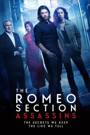 Affiche de la série The Romeo Section (2015) de Chris Haddock. Voir The Romeo Section en streaming / torrent sur meilleurs-films.fr