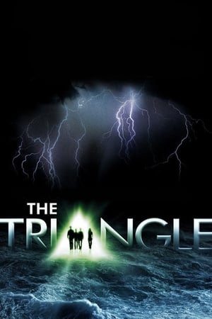 Affiche de la série The Triangle (2005) de Affiche de la série The Triangle (2005) de . Voir The Triangle en streaming / torrent sur meilleurs-films.fr