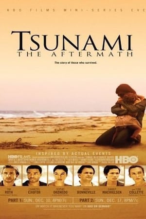Affiche de la série Tsunami: The Aftermath (2006) de Affiche de la série Tsunami: The Aftermath (2006) de . Voir Tsunami: The Aftermath en streaming / torrent sur meilleurs-films.fr