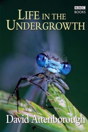 Affiche de la série Un Monde en miniature (2005) de David Attenborough. Voir Un Monde en miniature en streaming / torrent sur meilleurs-films.fr