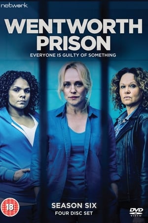 Affiche de la série Wentworth (2013) de Lara Radulovich. Voir Wentworth en streaming / torrent sur meilleurs-films.fr