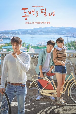 Affiche de la série When the Camellia Blooms (2019) de Im Sang-choon. Voir When the Camellia Blooms en streaming / torrent sur meilleurs-films.fr