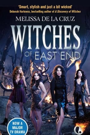Affiche de la série Witches of East End (2013) de Maggie Friedman. Voir Witches of East End en streaming / torrent sur meilleurs-films.fr