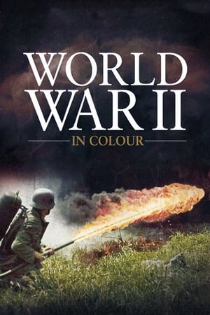 Affiche de la série World War II In HD Colour (2009) de Jonathan Martin. Voir World War II In HD Colour en streaming / torrent sur meilleurs-films.fr