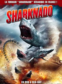 Affiche du film Sharknado (2013) de Anthony C. Ferrante Affiche du film Sharknado (2013) de Anthony C. Ferrante. Voir Sharknado en streaming / torrent sur meilleurs-films.fr