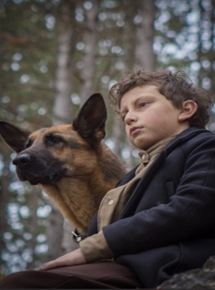 Affiche du film Shepherd: Story of a Jewish Dog (2018) de Lynn Roth. Voir Shepherd: Story of a Jewish Dog en streaming / torrent sur meilleurs-films.fr