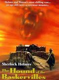 Affiche du film Sherlock Holmes – Le Chien des Baskerville (1983) de Douglas Hickox Affiche du film Sherlock Holmes – Le Chien des Baskerville (1983) de Douglas Hickox. Voir Sherlock Holmes – Le Chien des Baskerville en streaming / torrent sur meilleurs-films.fr