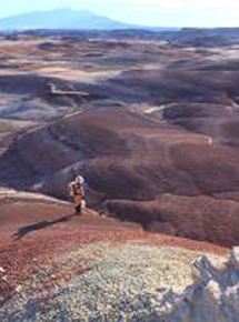 Affiche du film Signe De Vie (2020) de Evgenia Alexandrova. Voir Signe De Vie en streaming / torrent sur meilleurs-films.fr